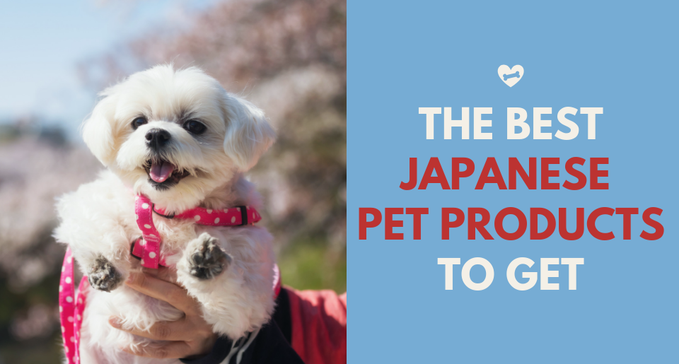 The Best Japanese Pet Products To Get 