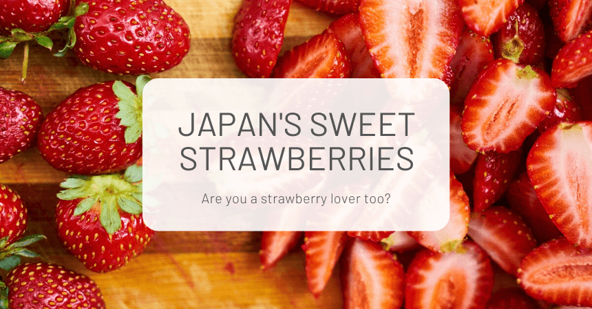 How to Enjoy Japanese Strawberries