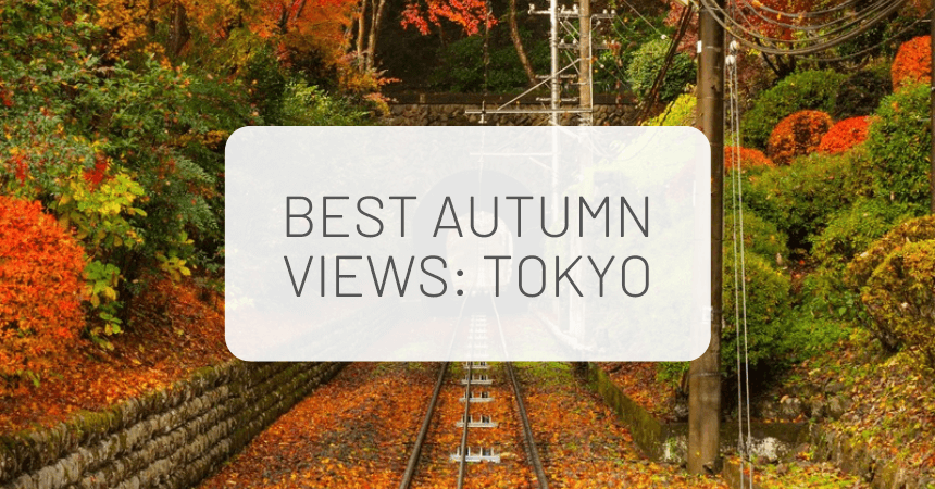 Best Autumn Views: Our Top 5 Spots in Tokyo